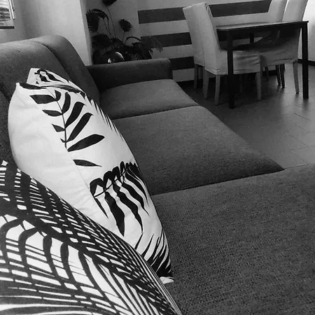 Le Di Sara - Grey Palm * Arma di Taggia